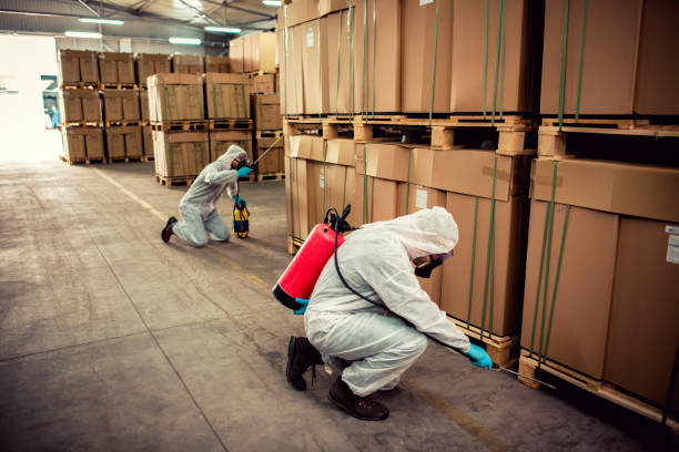 Pest Prevention Services in Stockbridge, GA