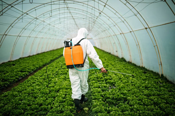 Best Emergency Pest Control  in Stockbridge, GA