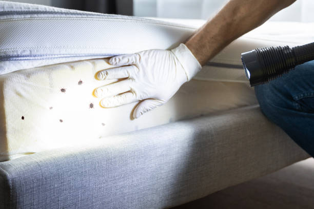 Best Pest Inspection Near Me  in Stockbridge, GA